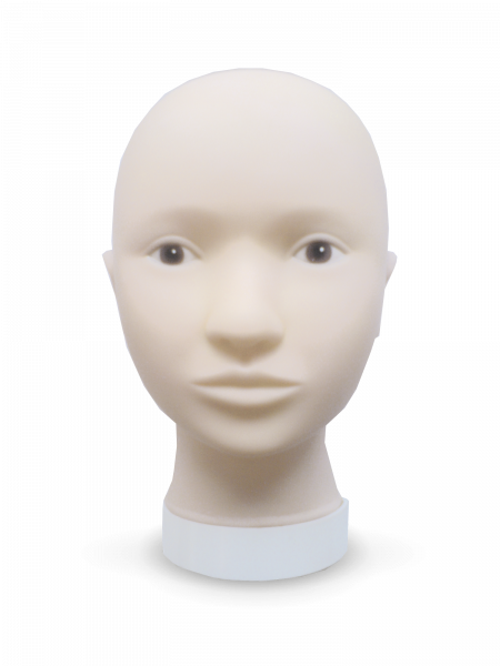 Illustration de la tête de poupée avec une peau de visage artificielle pour s'entraîner au stylisme PMU